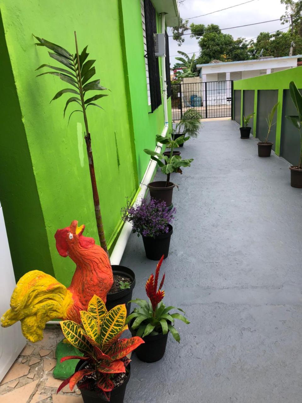 Vieques Good Vibe Guest House Екстер'єр фото